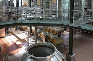 Guide de dégustation : comment apprécier un vin rouge