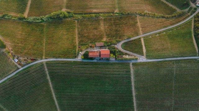 Bienvenue au Domaine Matha, vigneron de Marcillac en Aveyron
